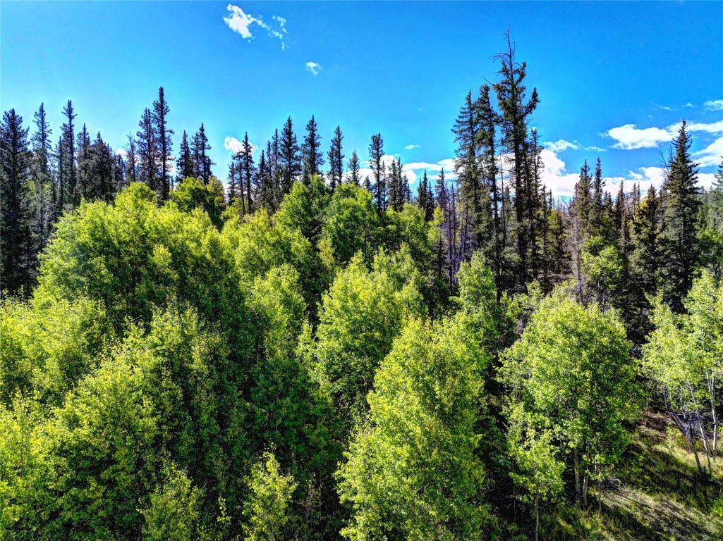 581 Longbow Drive Como CO 80432