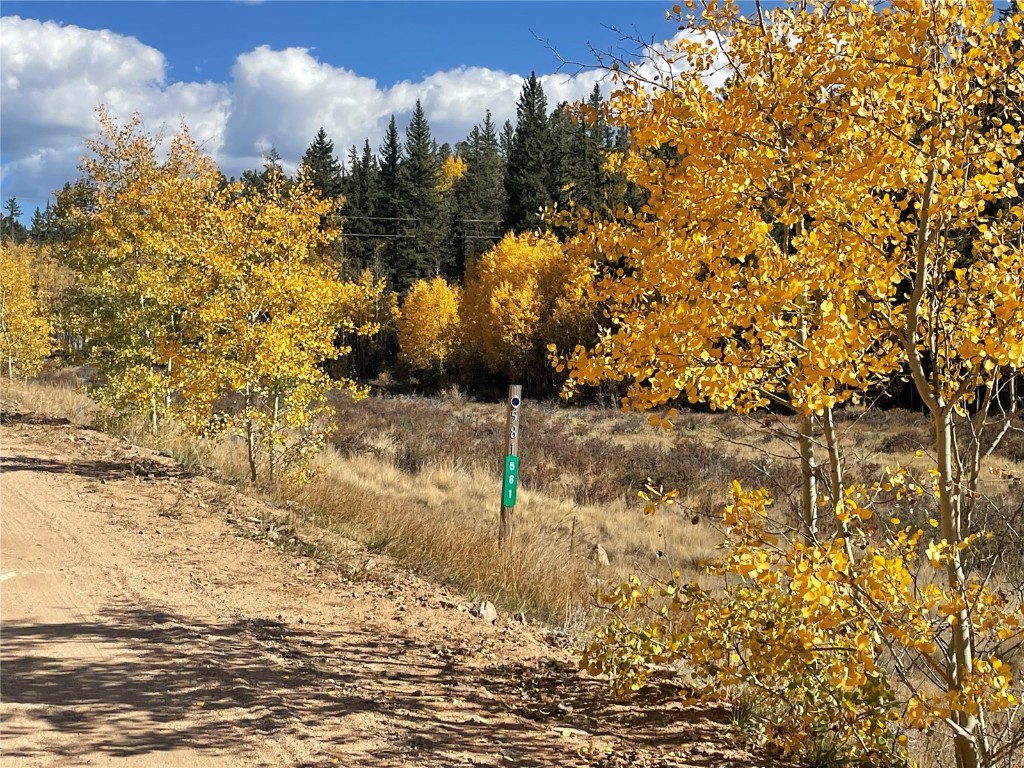 581 Longbow Drive Como CO 80432