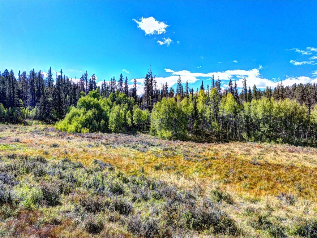 581 Longbow Drive Como CO 80432