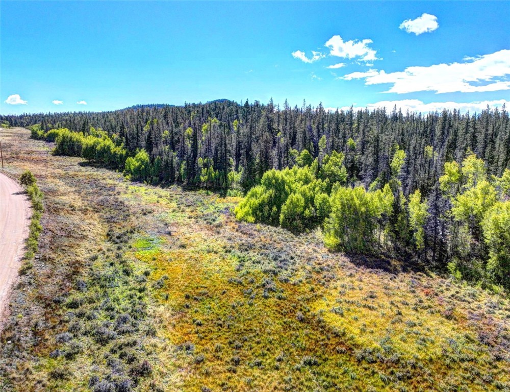 581 Longbow Drive Como CO 80432