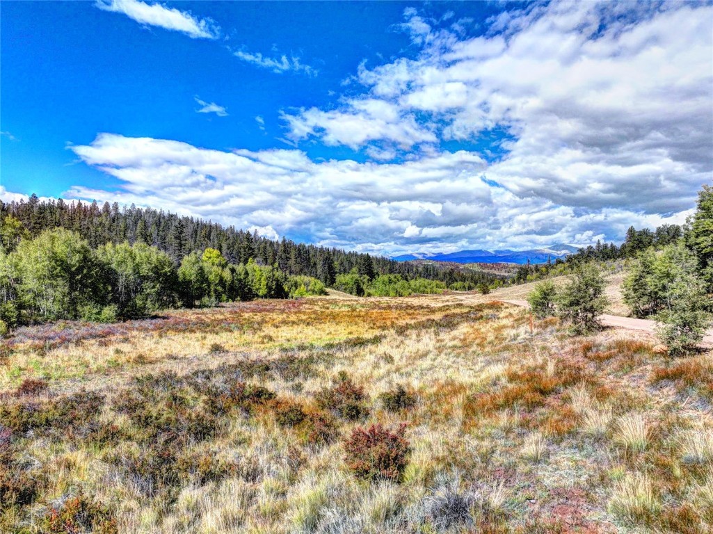 581 Longbow Drive Como CO 80432
