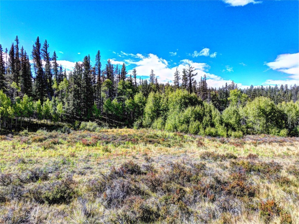 581 Longbow Drive Como CO 80432