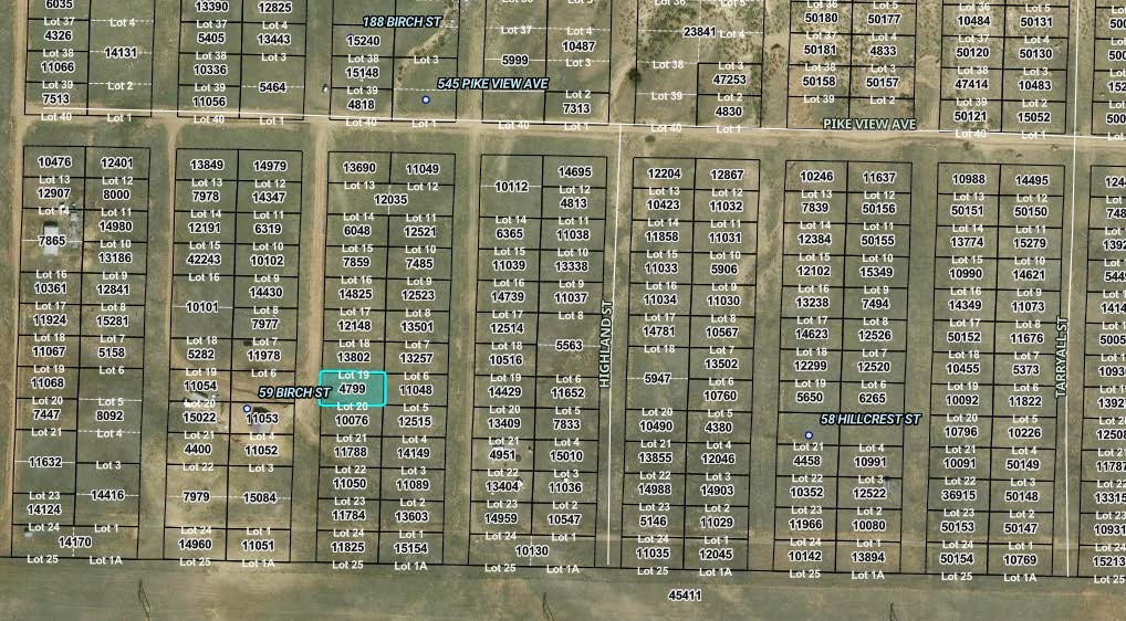 00007 Birch Street Hartsel CO 80449