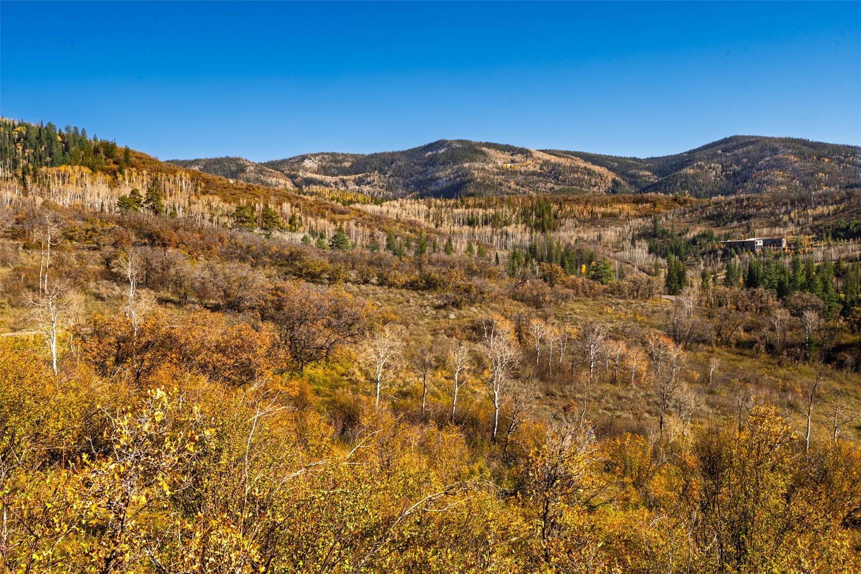34100 Wildridge Lane Steamboat Springs CO 80487