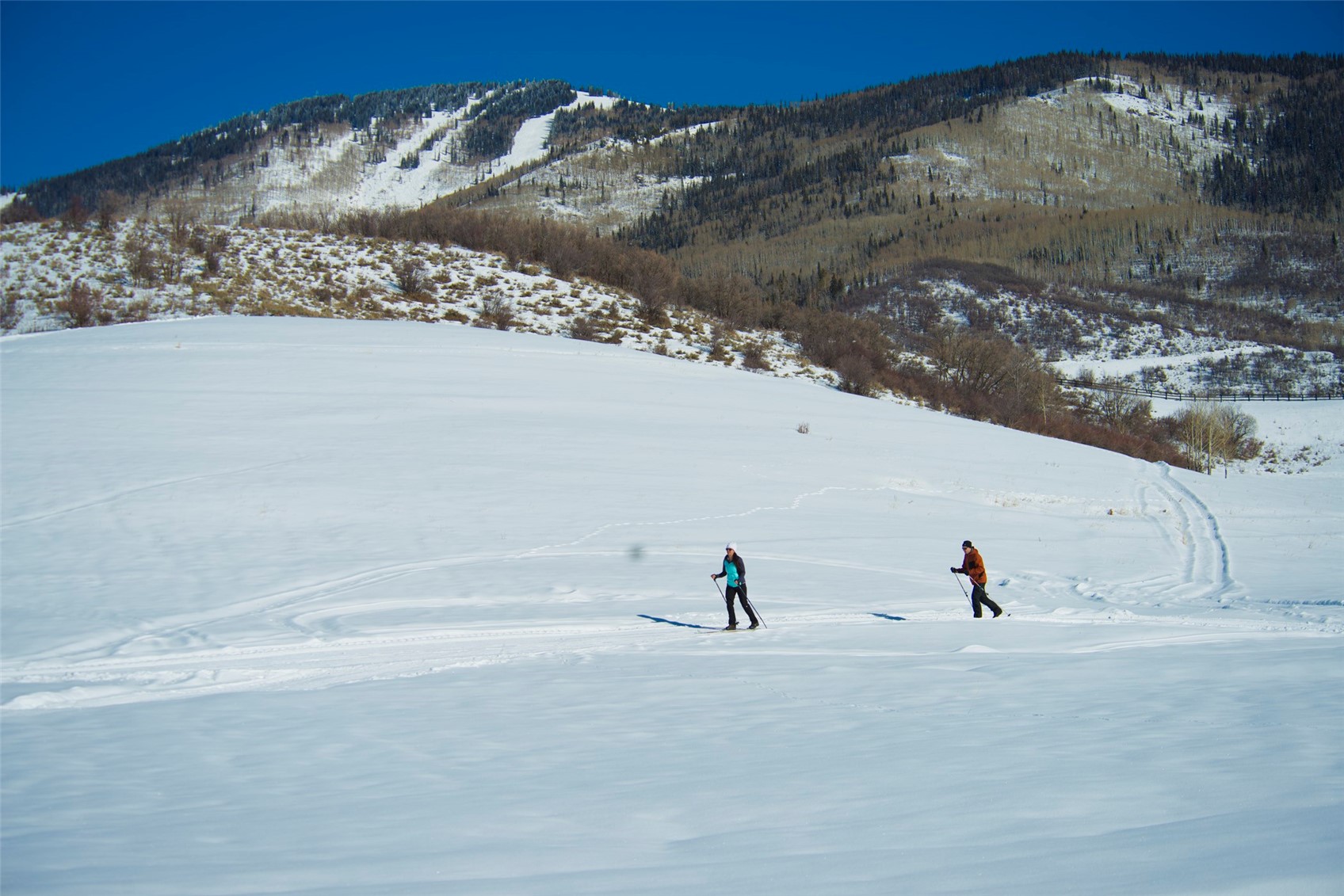 34100 Wildridge Lane Steamboat Springs CO 80487