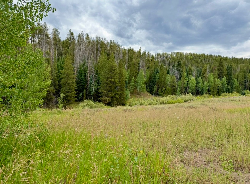 32514 Ute Trail Oak Creek CO 80467