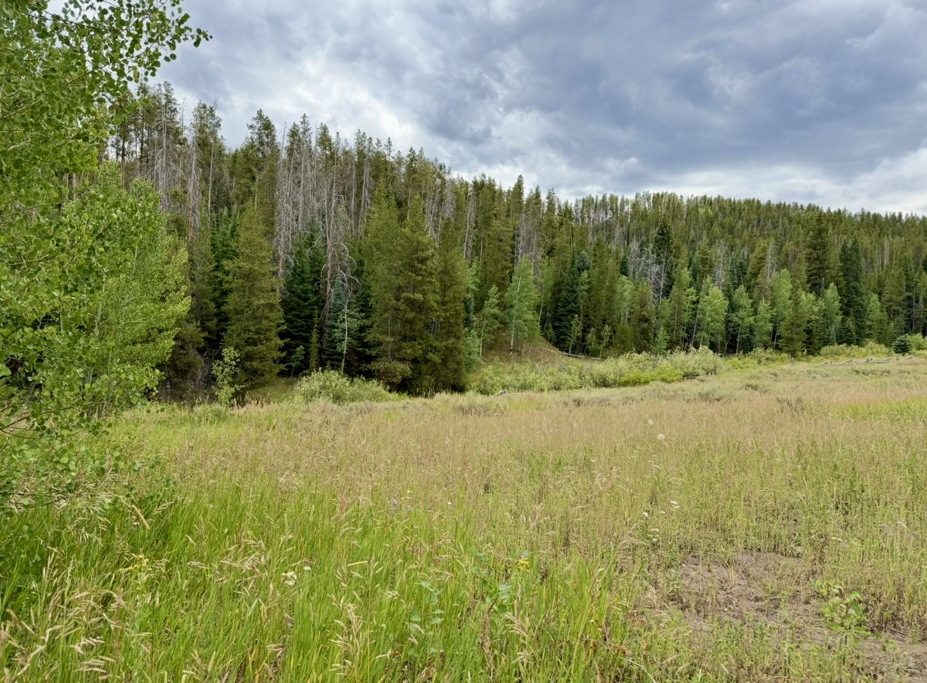 32514 Ute Trail Oak Creek CO 80467