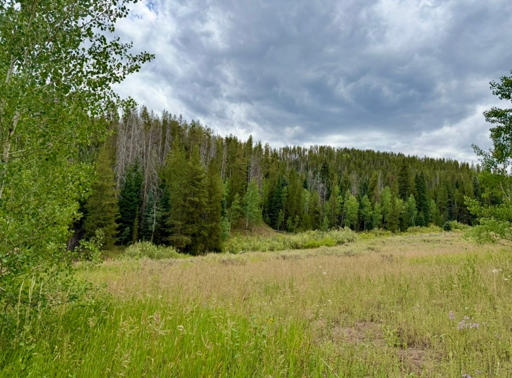 32514 Ute Trail Oak Creek CO 80467