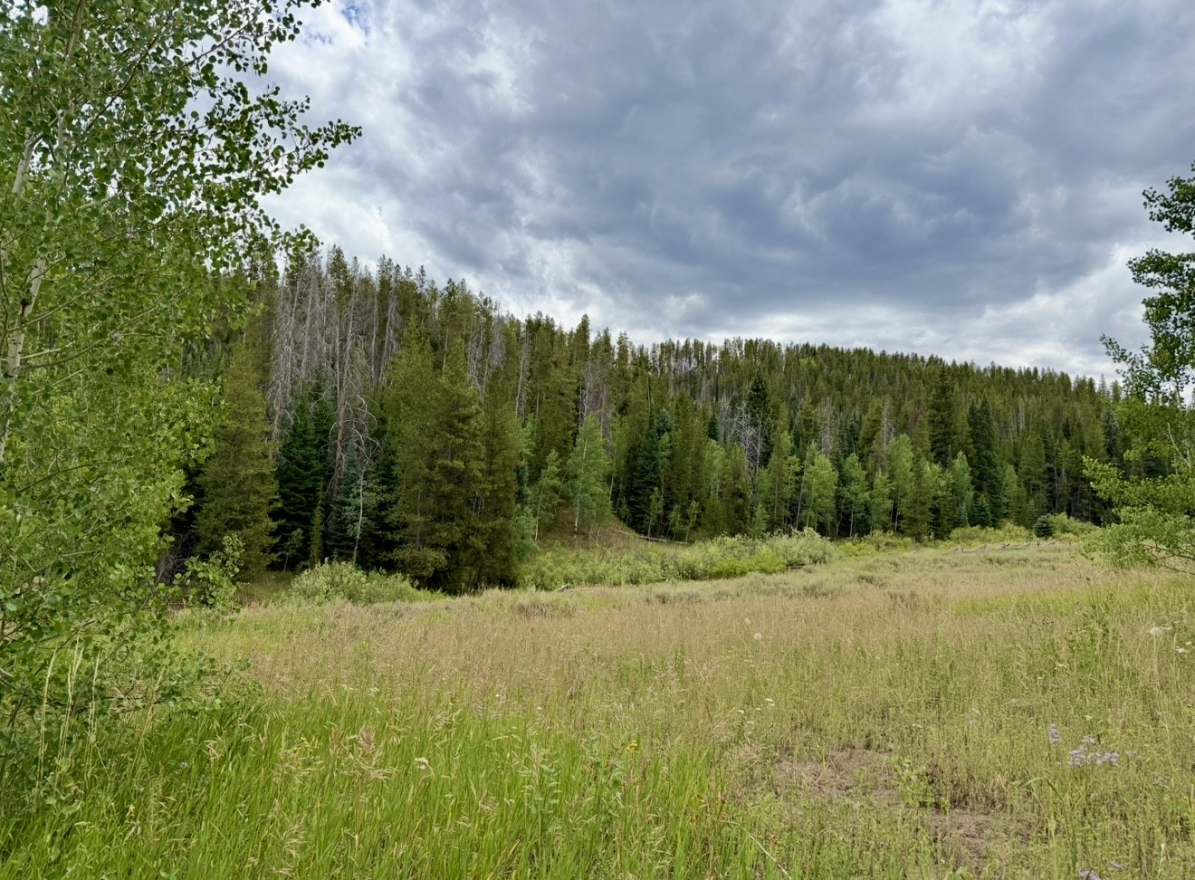 32514 Ute Trail Oak Creek CO 80467