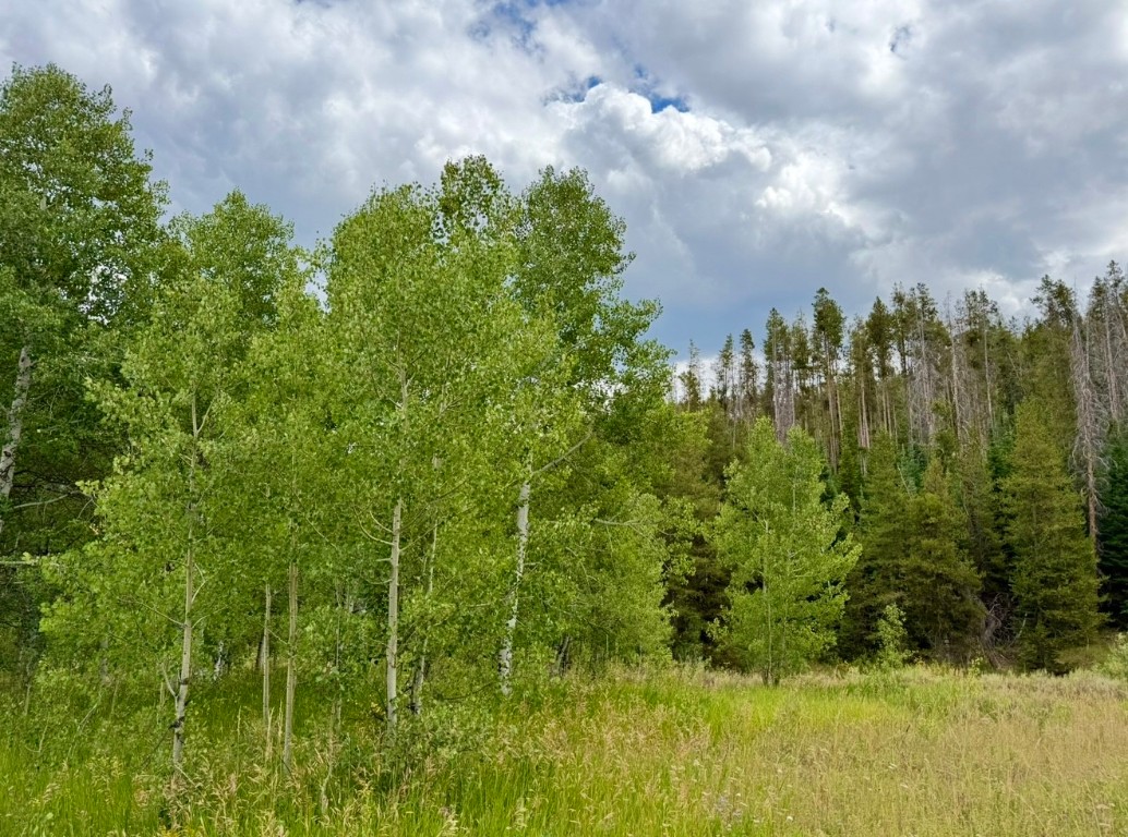 32514 Ute Trail Oak Creek CO 80467