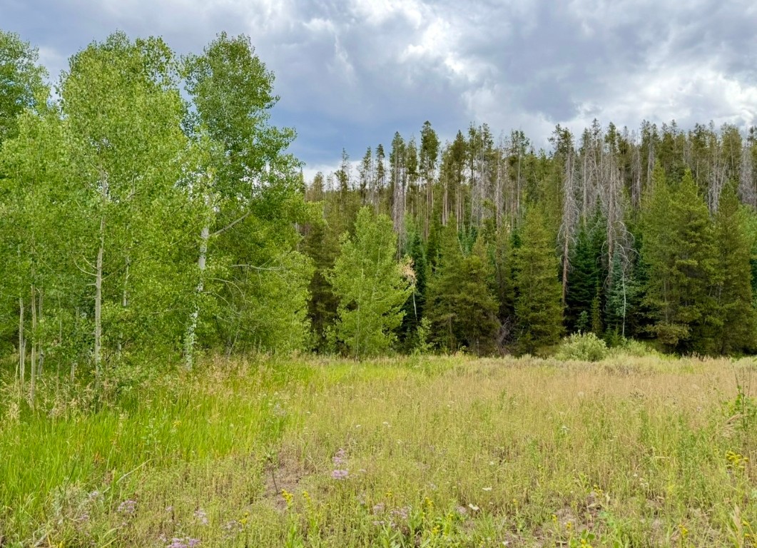 32514 Ute Trail Oak Creek CO 80467