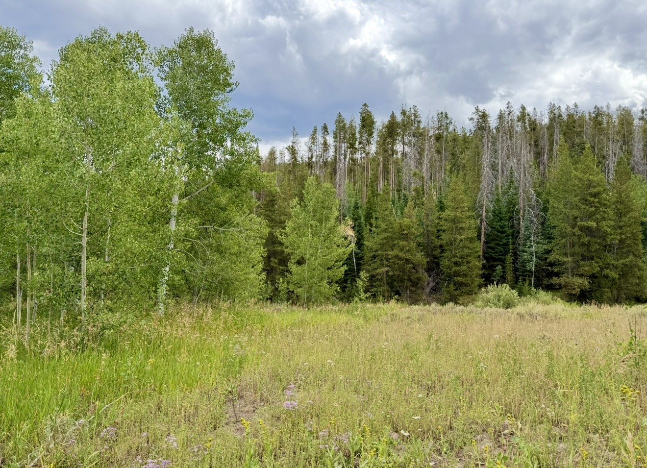 32514 Ute Trail Oak Creek CO 80467
