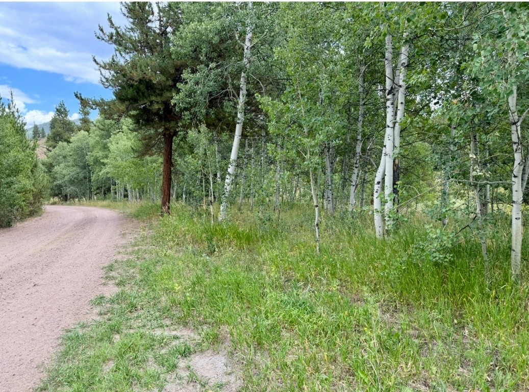 32514 Ute Trail Oak Creek CO 80467