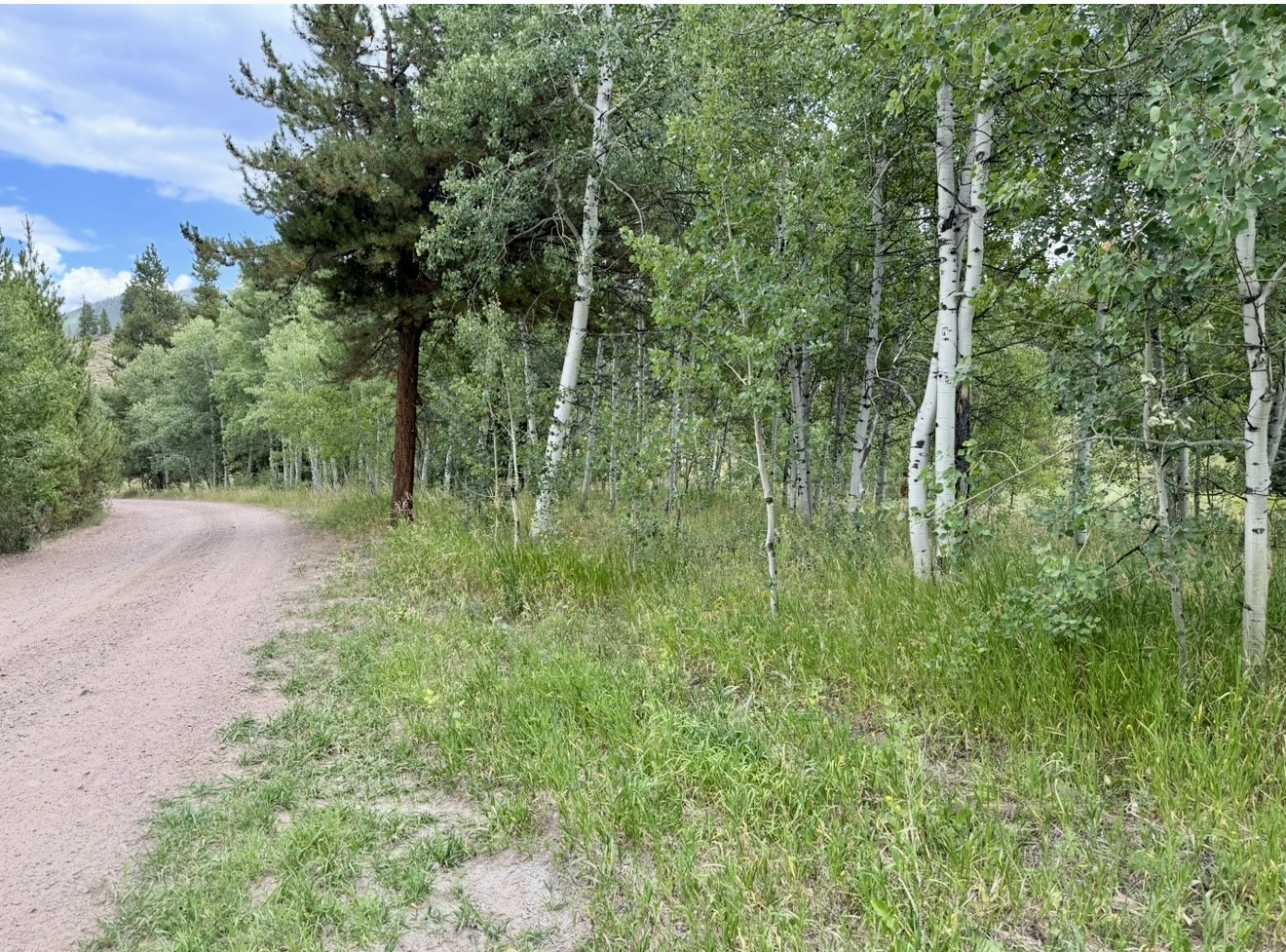 32514 Ute Trail Oak Creek CO 80467