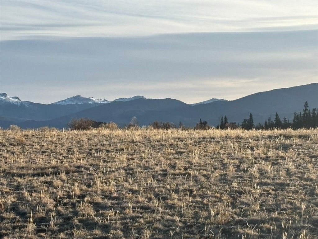 1290 Lippzana Road Como CO 80432