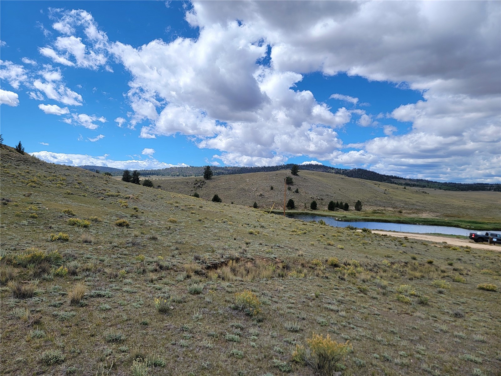 20 Yellowstone Road Hartsel CO 80449