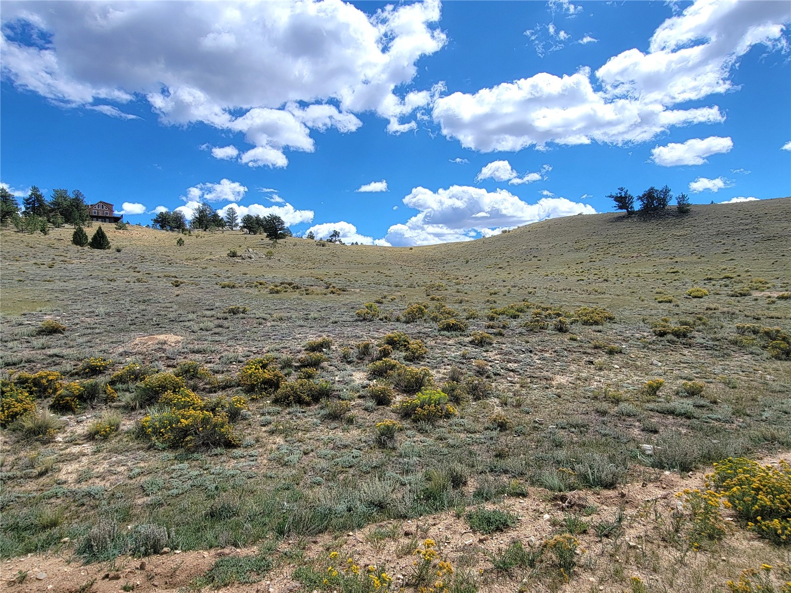20 Yellowstone Road Hartsel CO 80449