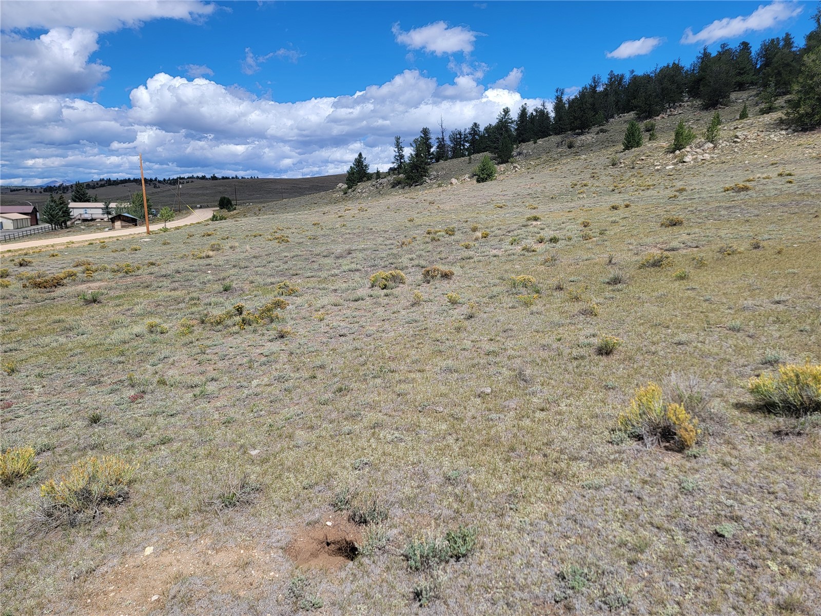 20 Yellowstone Road Hartsel CO 80449