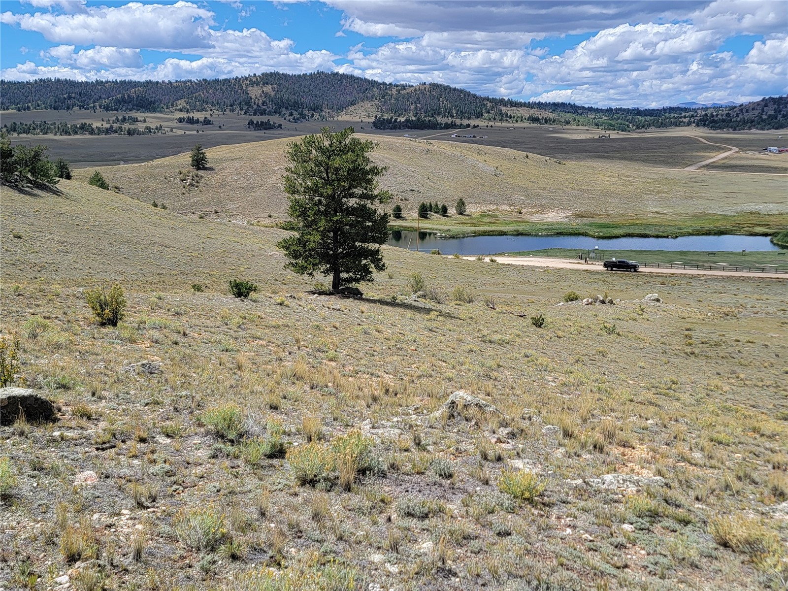 20 Yellowstone Road Hartsel CO 80449
