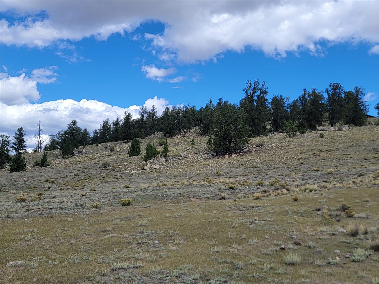 20 Yellowstone Road Hartsel CO 80449
