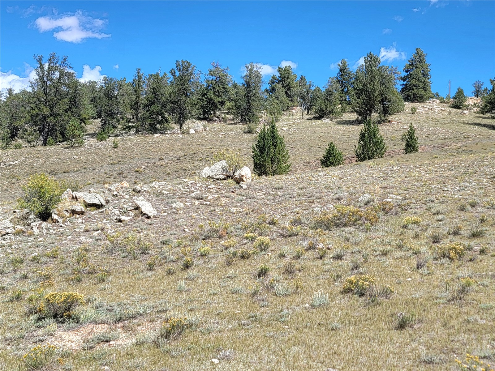 20 Yellowstone Road Hartsel CO 80449