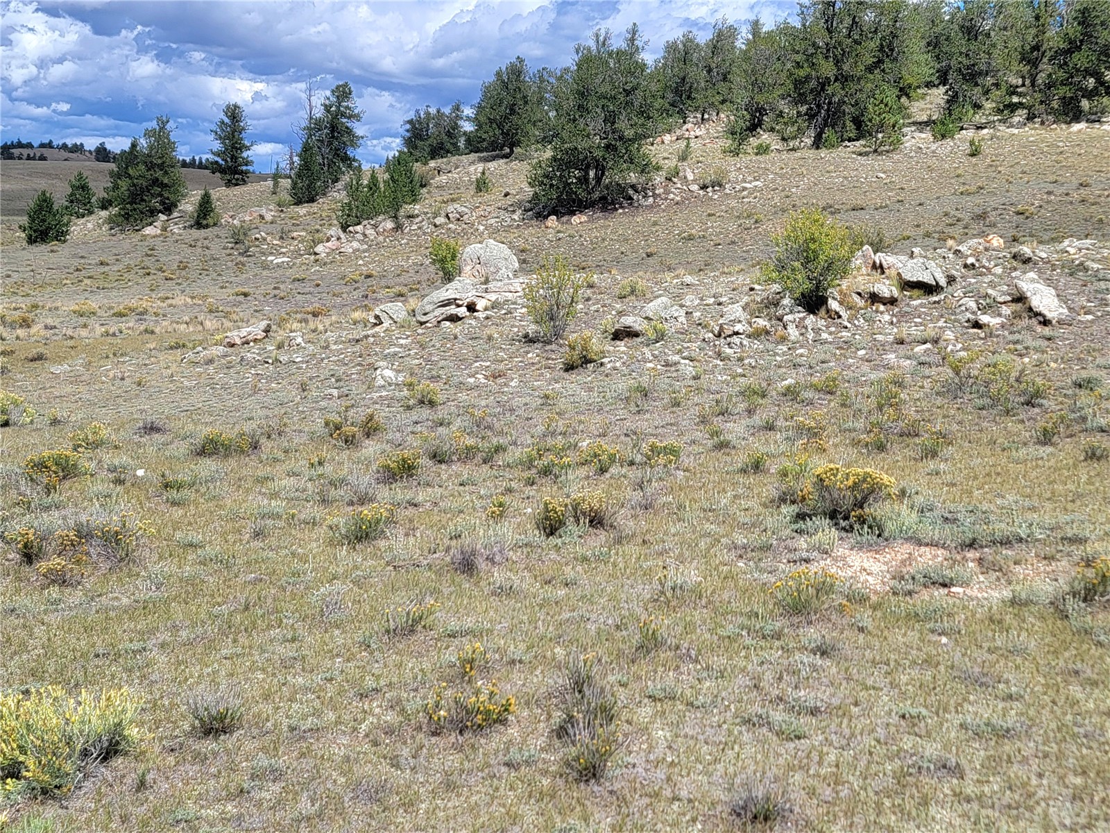 20 Yellowstone Road Hartsel CO 80449
