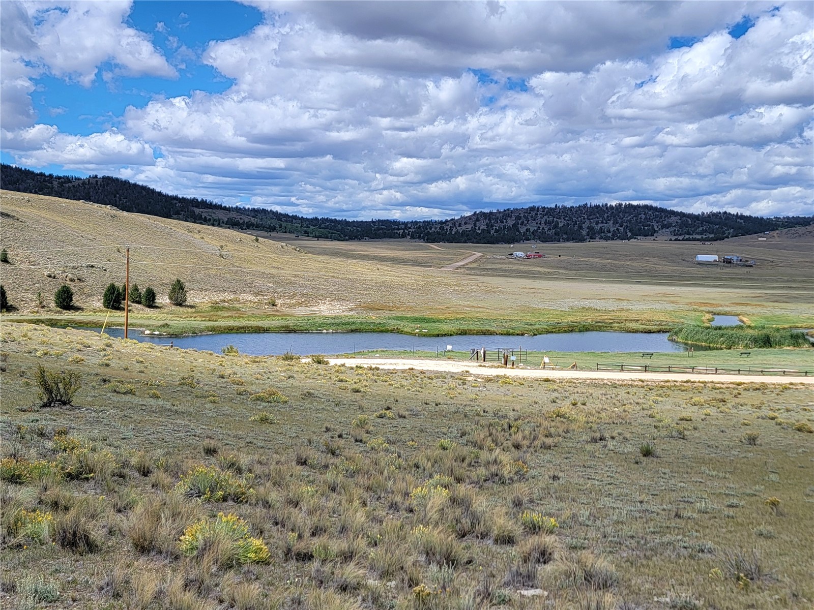 20 Yellowstone Road Hartsel CO 80449