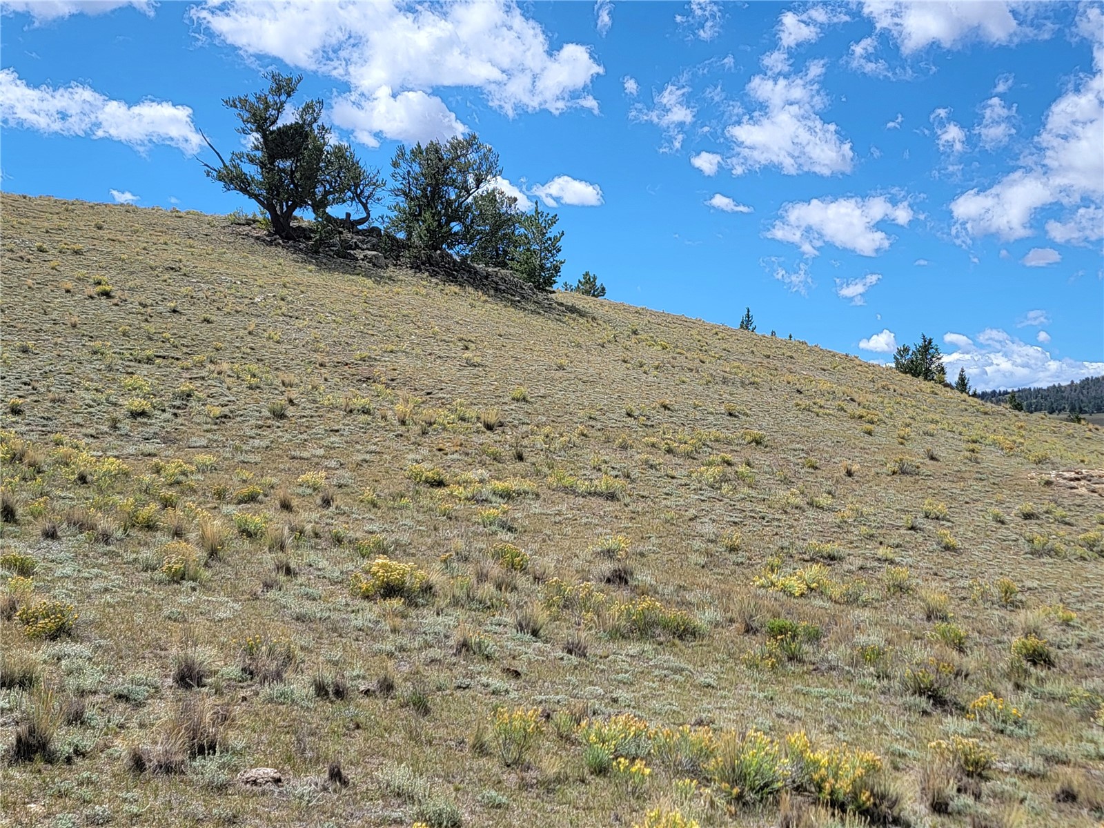 20 Yellowstone Road Hartsel CO 80449