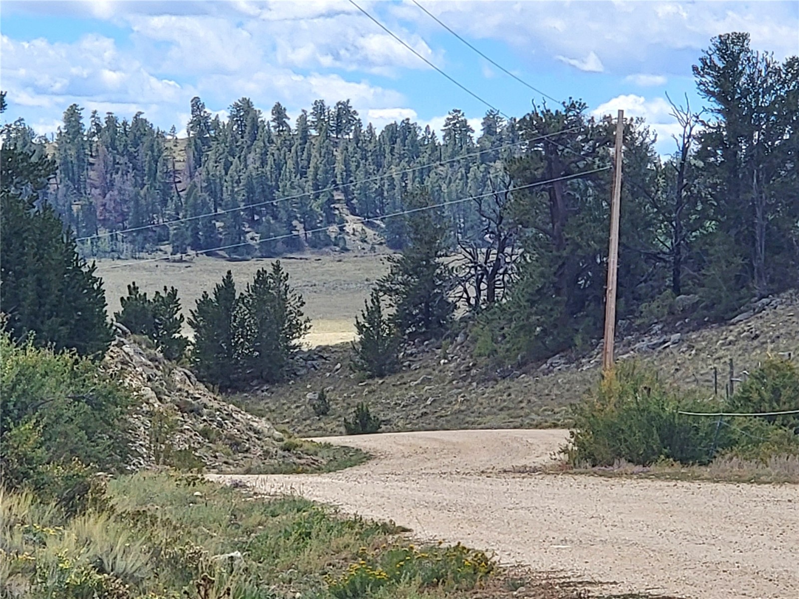 20 Yellowstone Road Hartsel CO 80449
