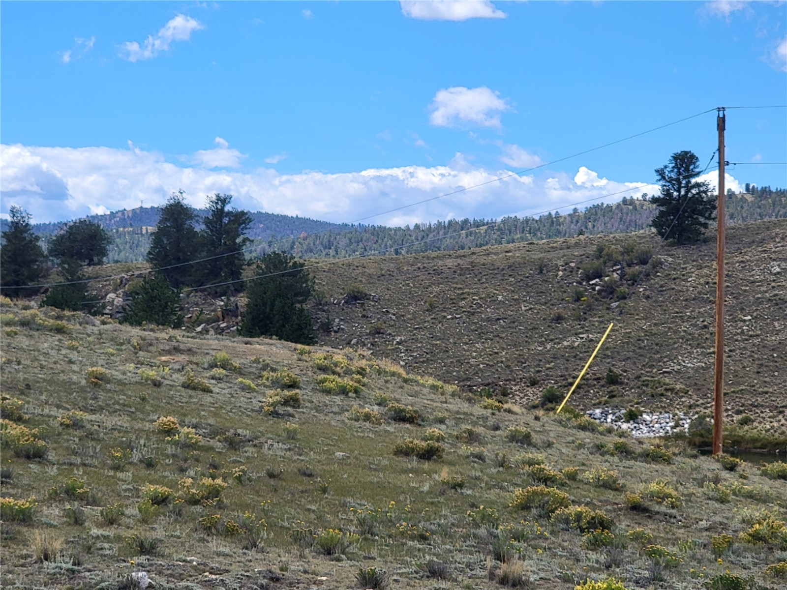 20 Yellowstone Road Hartsel CO 80449