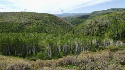 24425 Lone Tooth Trail Oak Creek CO 80467