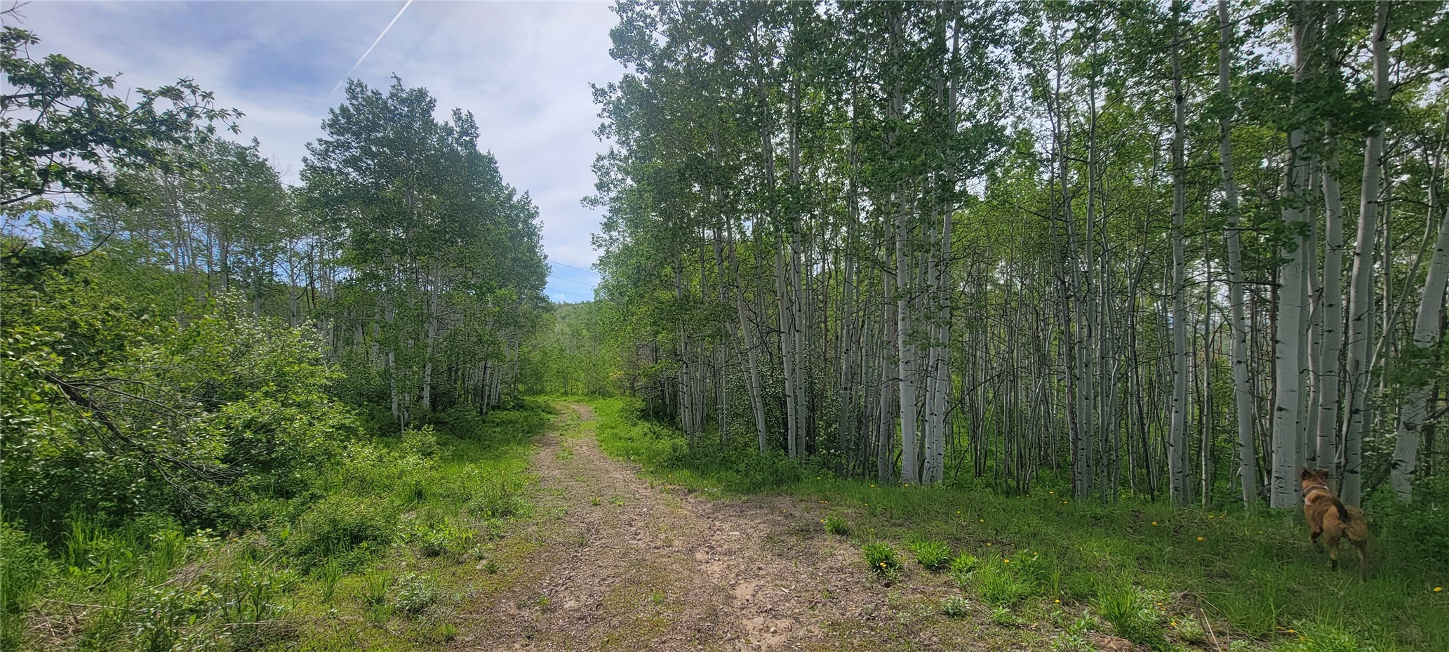24425 Lone Tooth Trail Oak Creek CO 80467