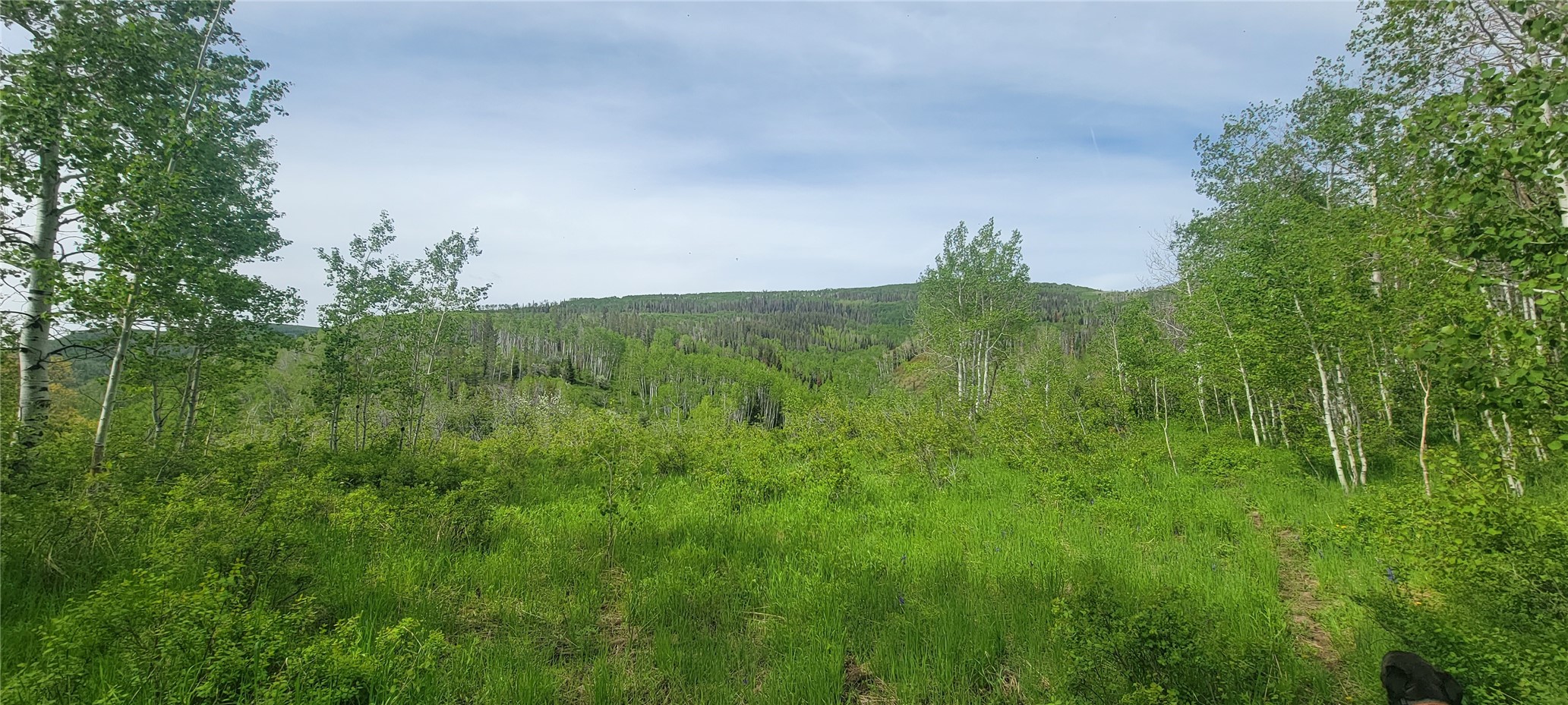 24425 Lone Tooth Trail Oak Creek CO 80467
