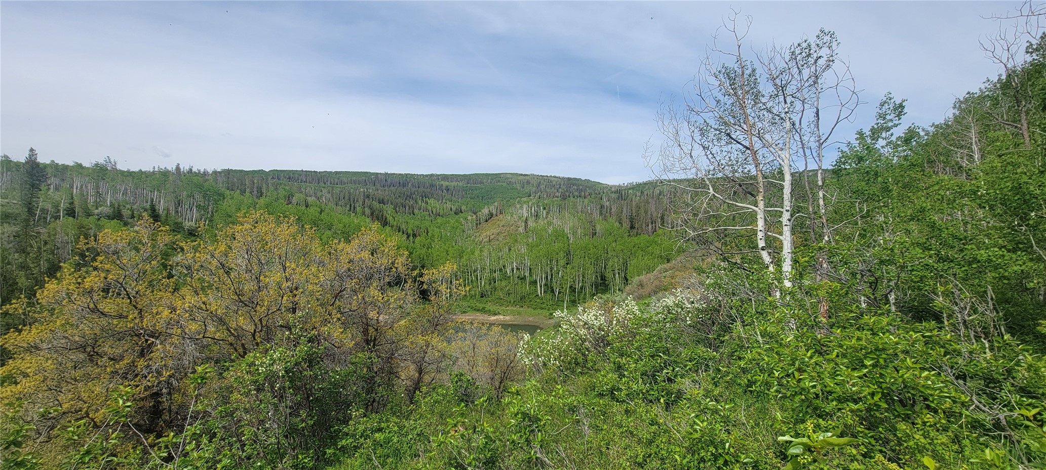 24425 Lone Tooth Trail Oak Creek CO 80467