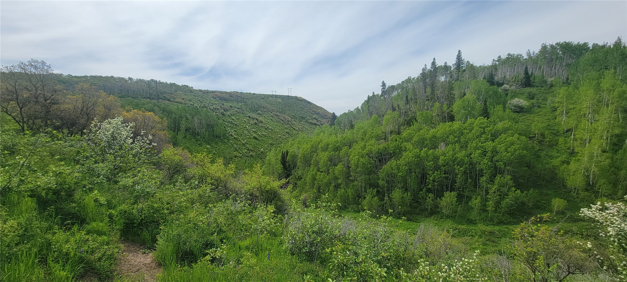 24425 Lone Tooth Trail Oak Creek CO 80467