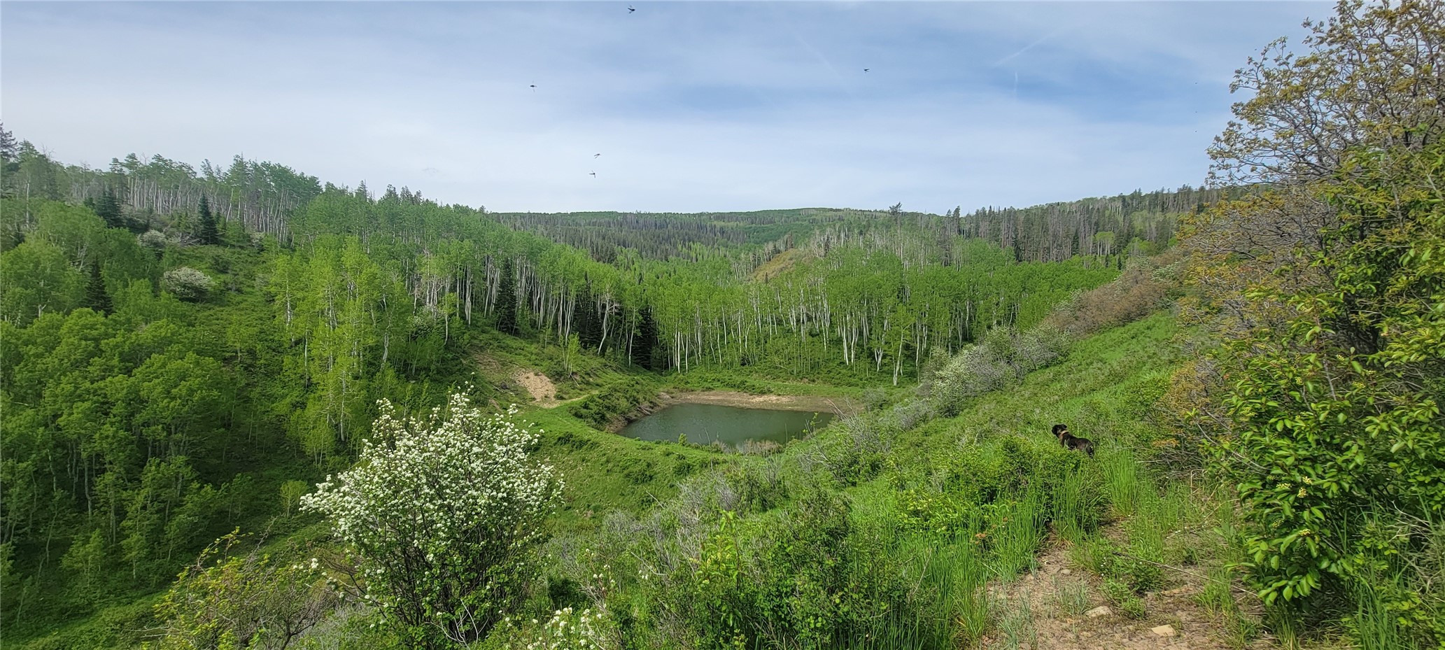 24425 Lone Tooth Trail Oak Creek CO 80467