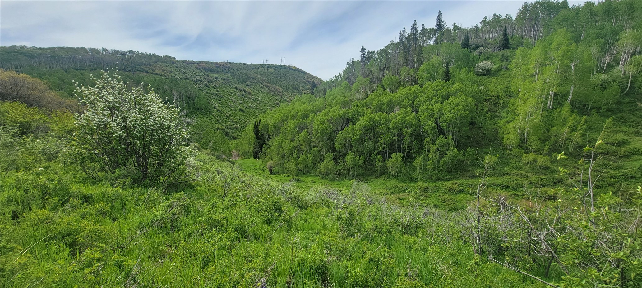 24425 Lone Tooth Trail Oak Creek CO 80467