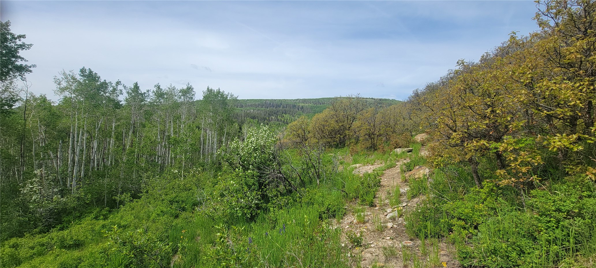 24425 Lone Tooth Trail Oak Creek CO 80467