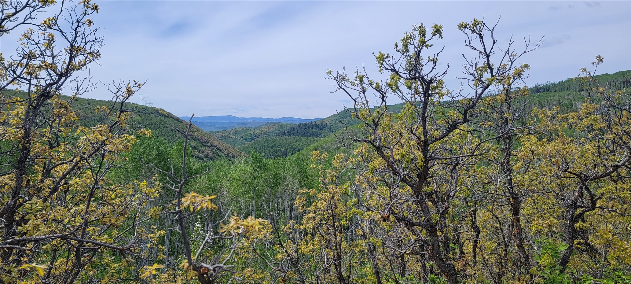 24425 Lone Tooth Trail Oak Creek CO 80467