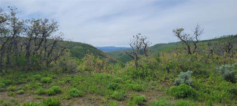 24425 Lone Tooth Trail Oak Creek CO 80467