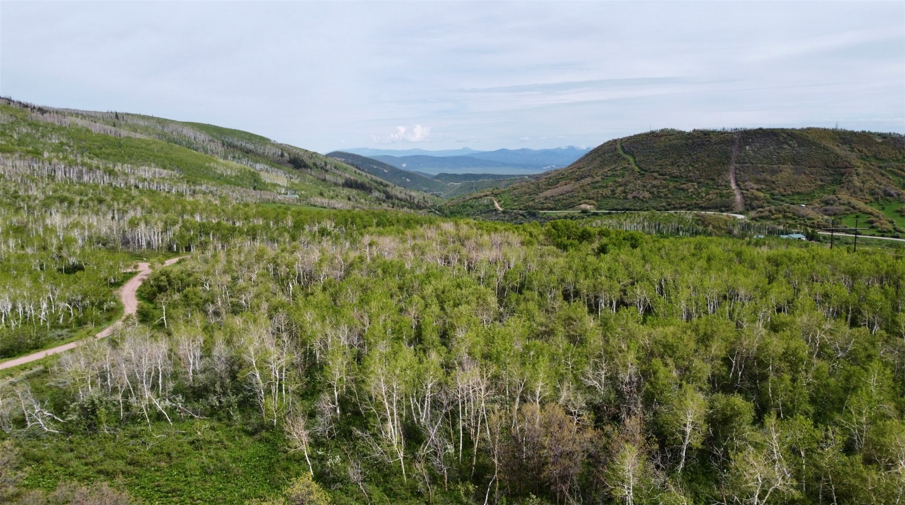 24425 Lone Tooth Trail Oak Creek CO 80467