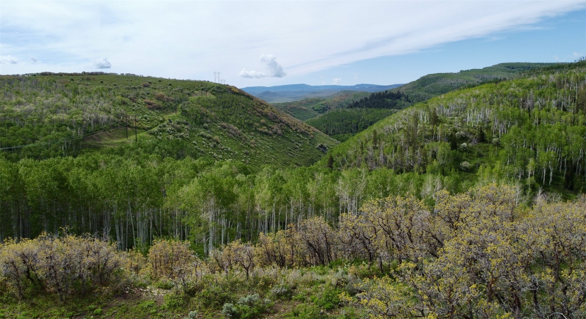 24425 Lone Tooth Trail Oak Creek CO 80467
