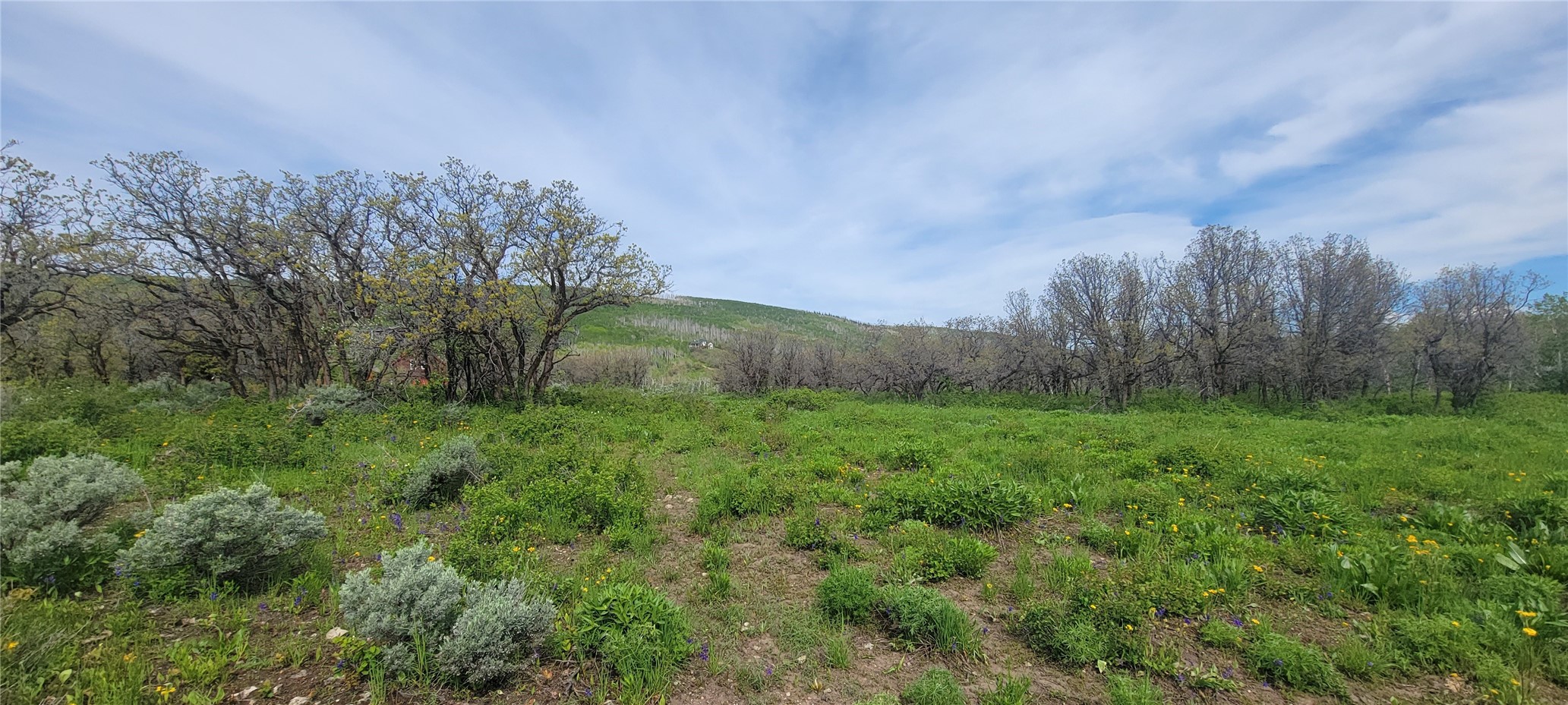24425 Lone Tooth Trail Oak Creek CO 80467