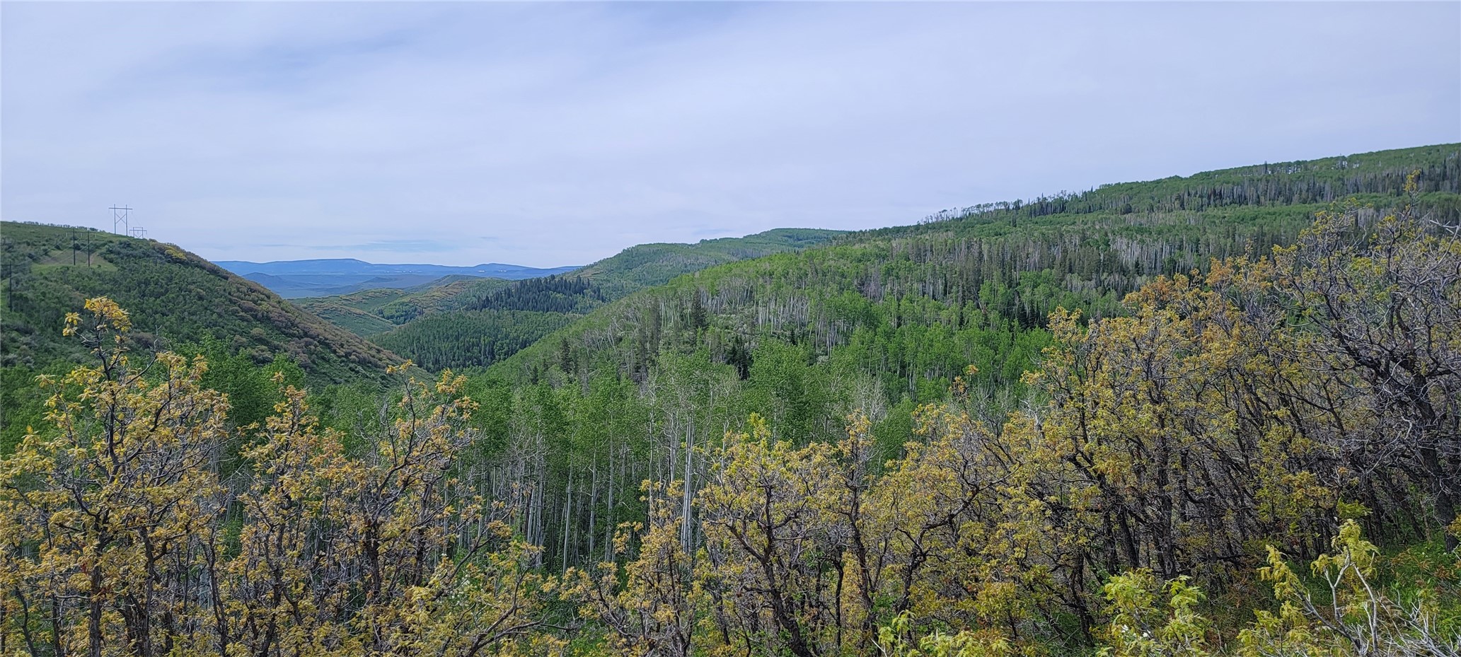 24425 Lone Tooth Trail Oak Creek CO 80467