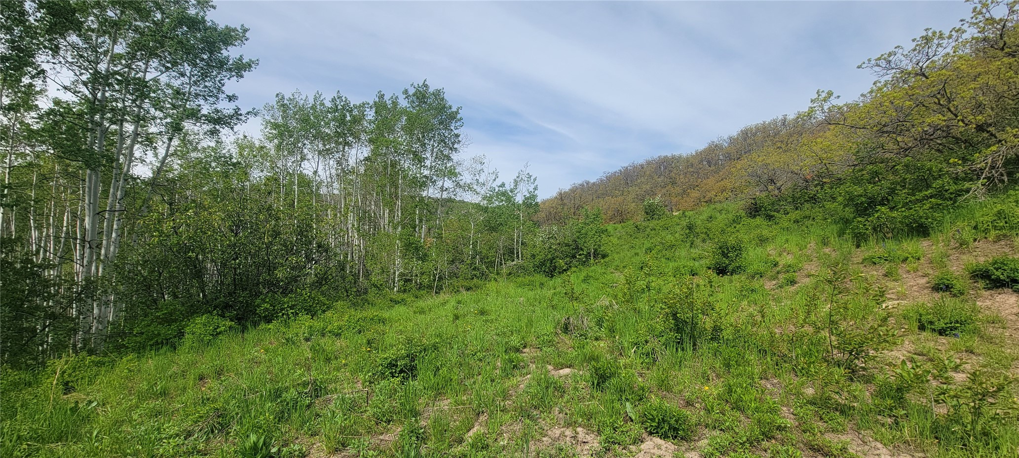 24425 Lone Tooth Trail Oak Creek CO 80467