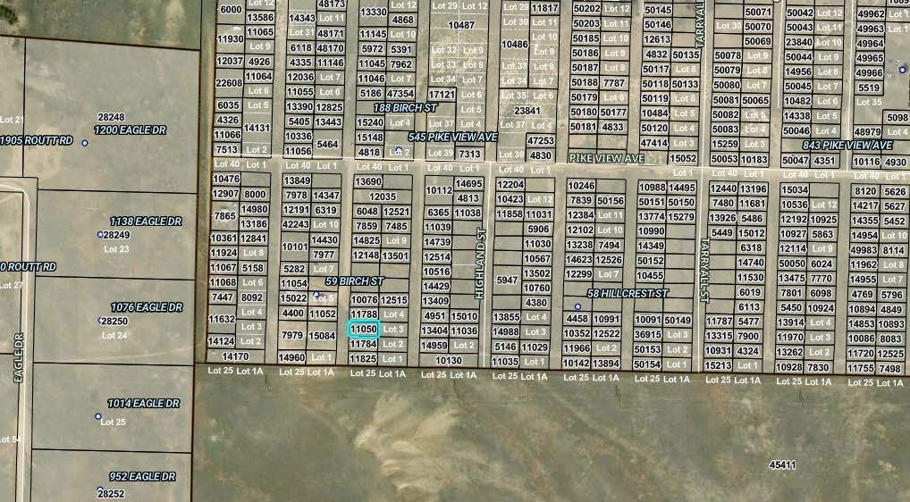 00008 Birch Street Hartsel CO 80449
