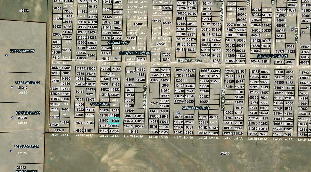 00008 Birch Street Hartsel CO 80449