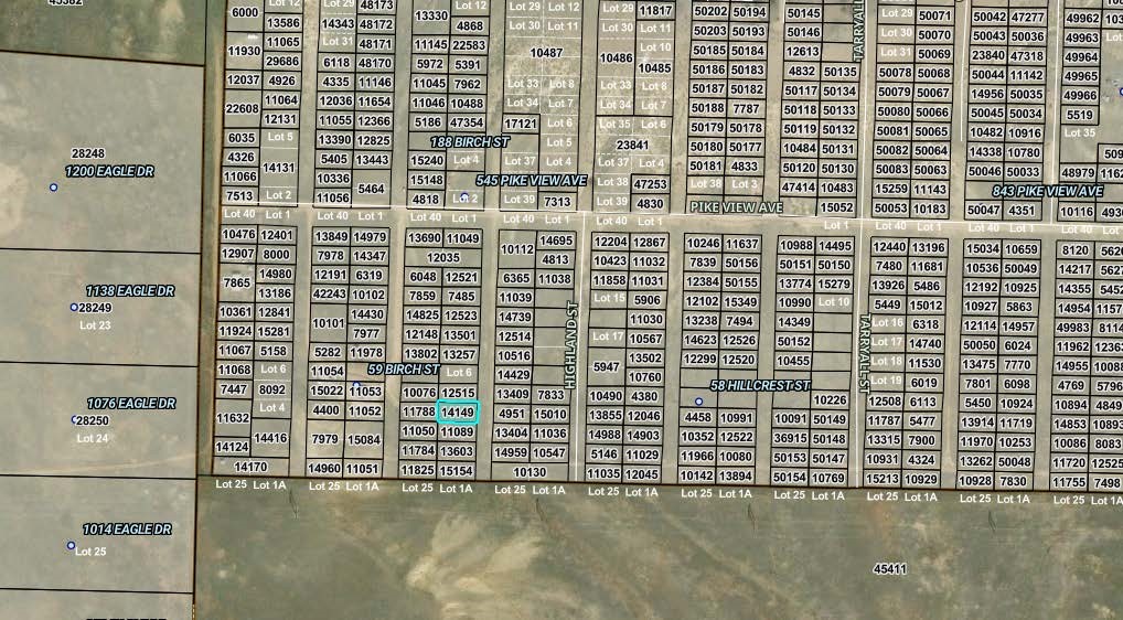 00008 Birch Street Hartsel CO 80449