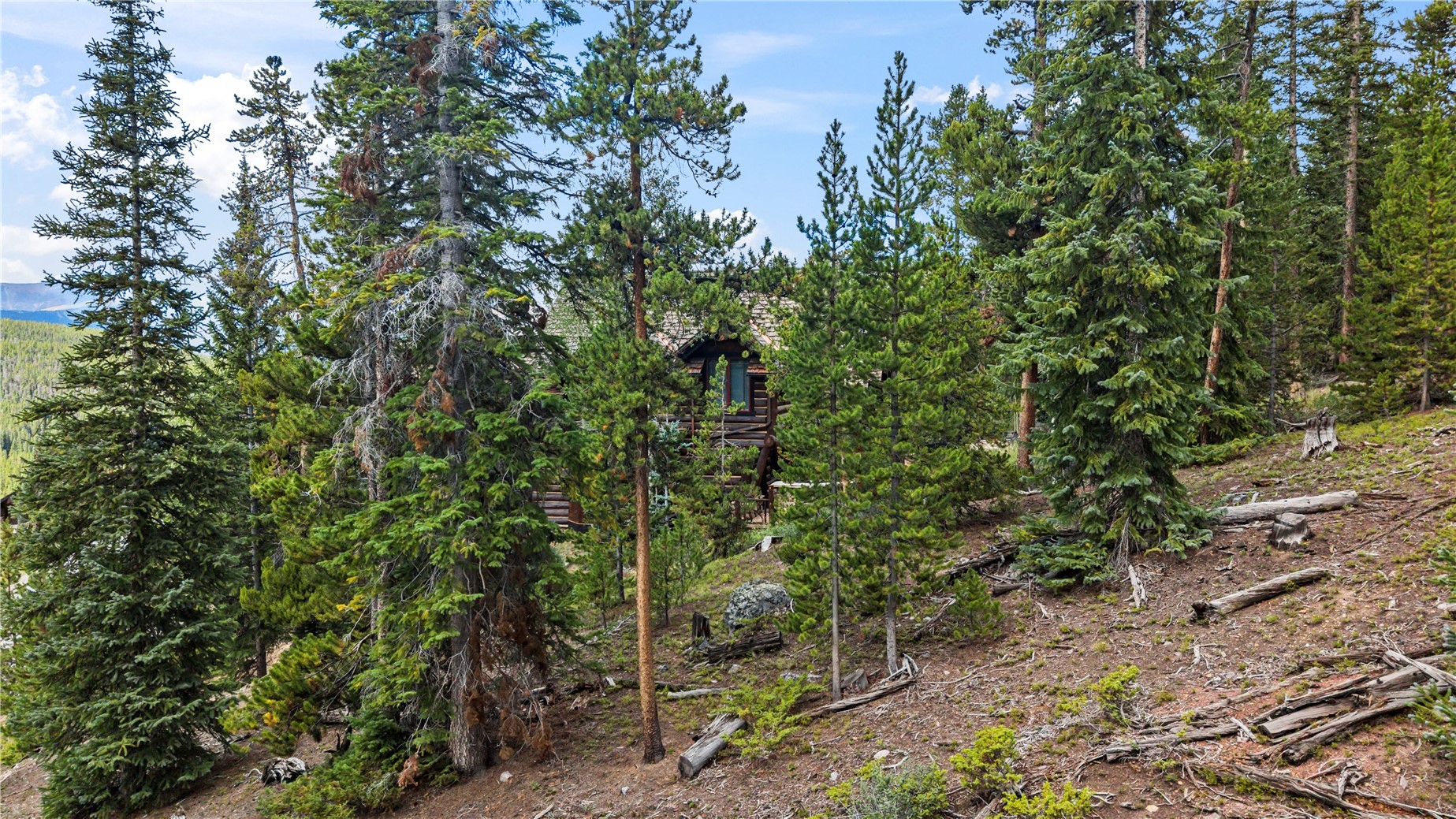 177 Goldenview Drive Breckenridge CO 80424