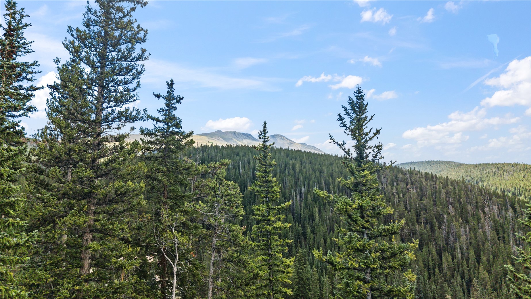 177 Goldenview Drive Breckenridge CO 80424